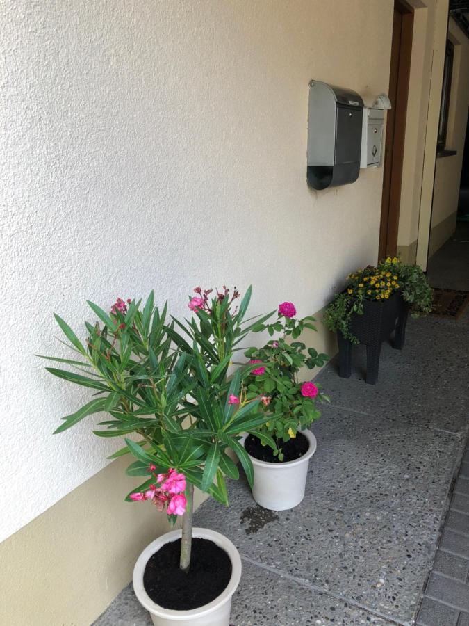 Ferienwohnung Am Gaessle Етенхайм Екстериор снимка